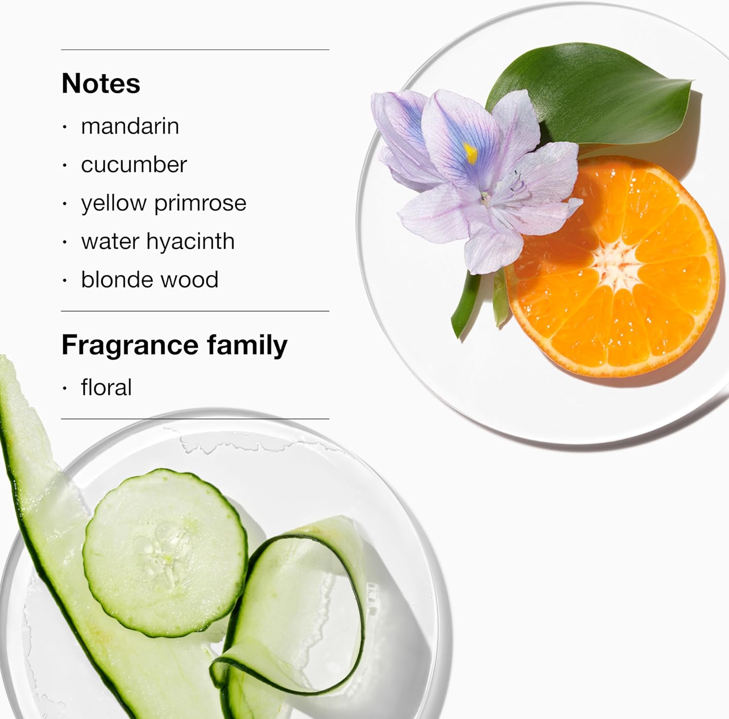 71yGMcicngL._AC_SL1500_7bba07cc-63a4-42cf-aa71-d642786c1175