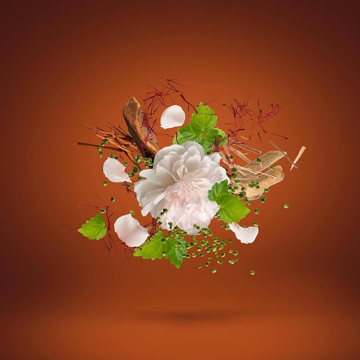 61oOEp5SpfL._AC_SL1200