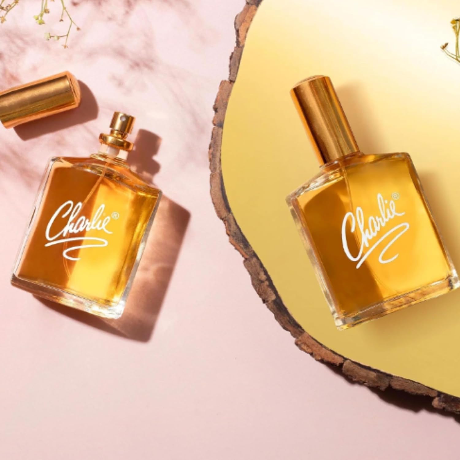 71Ucpzvt5OL._AC_SL1500_