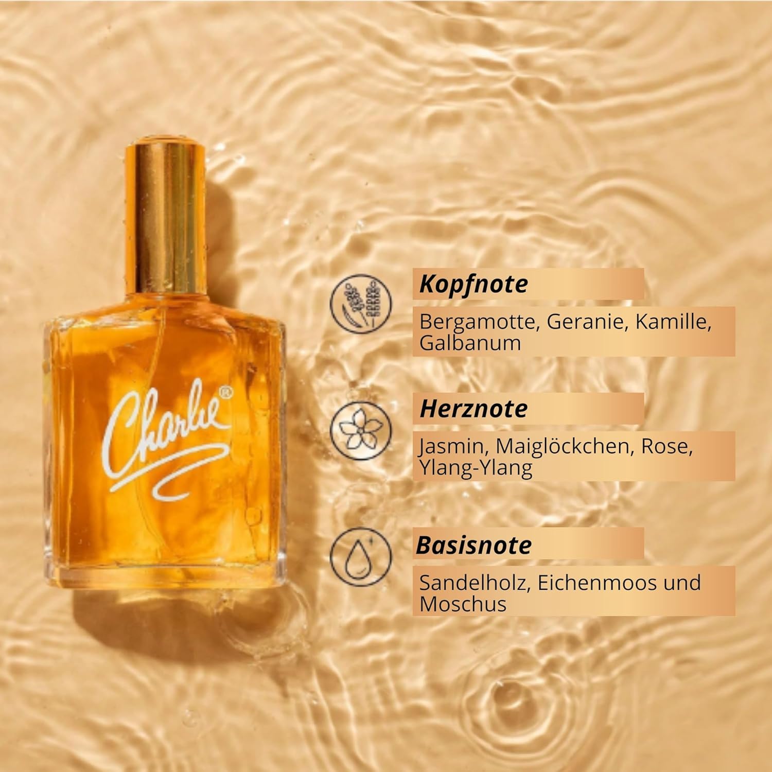 81+qkjybNRL._AC_SL1500_