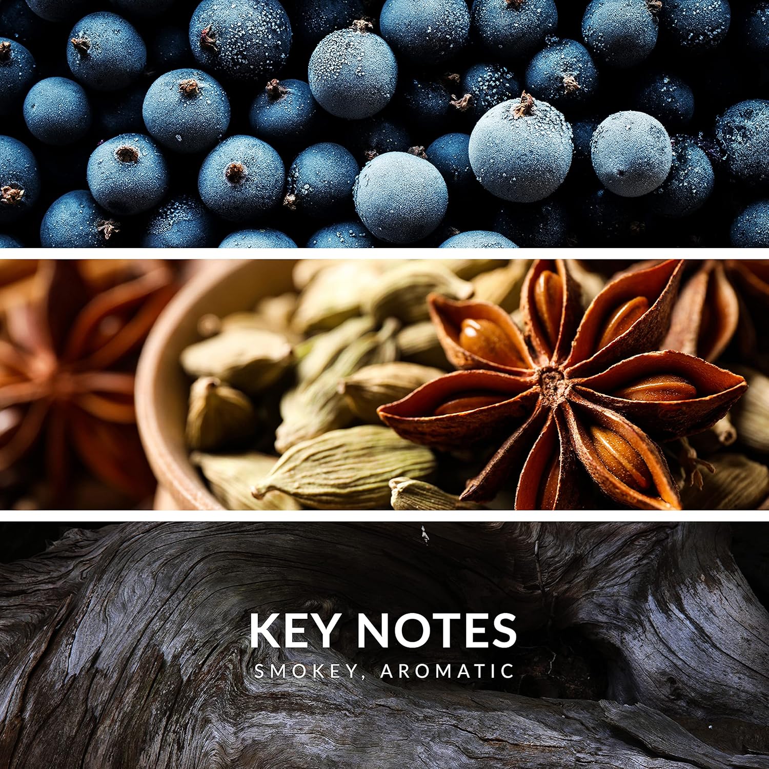 91NNTKT6FiS._AC_SL1500