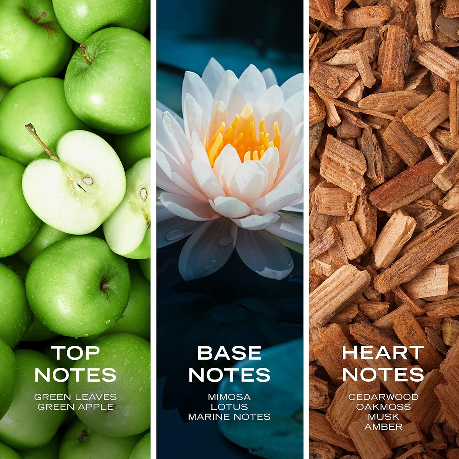 91SV4aPHWlL._AC_SL1500