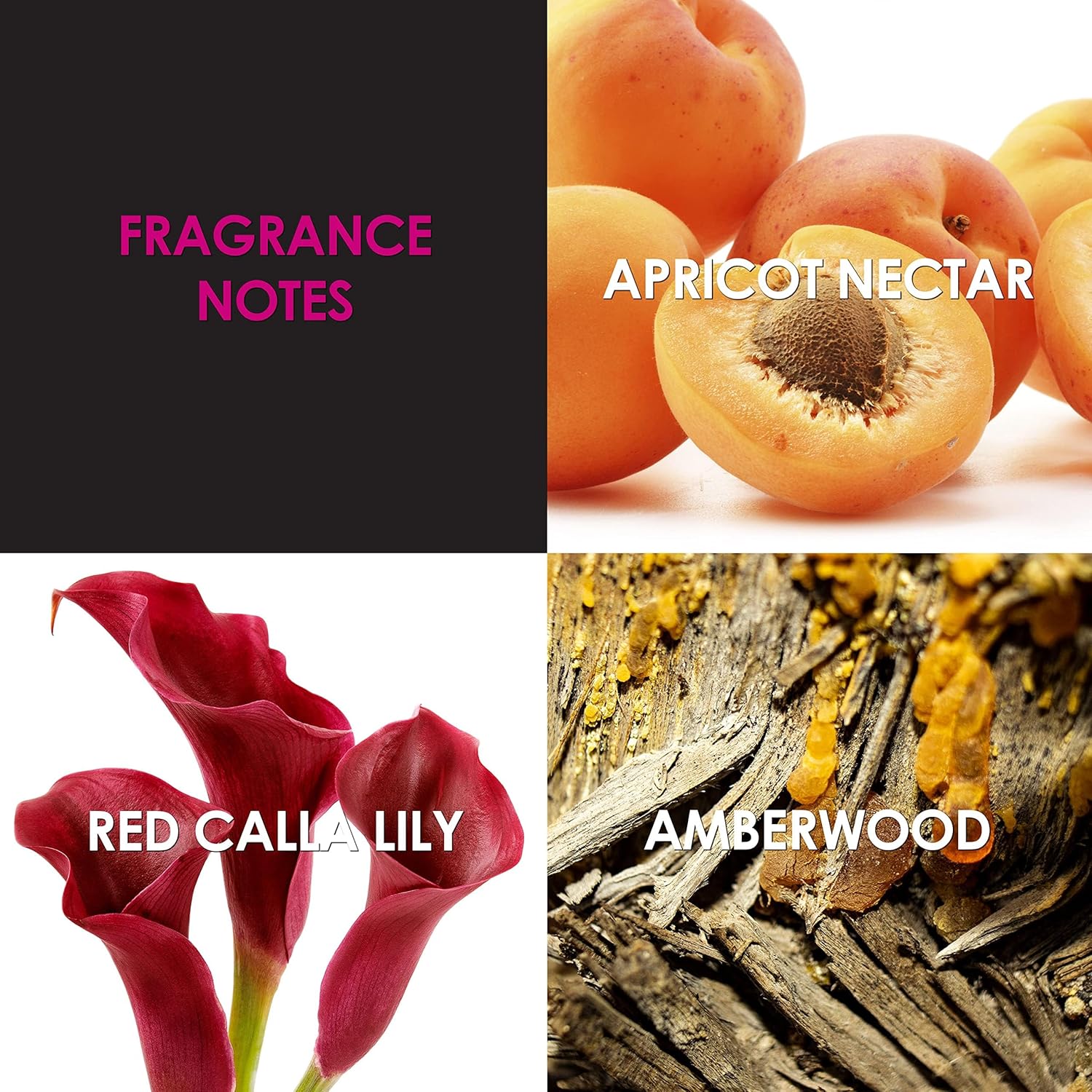 91e8C8D1YIL._AC_SL1500